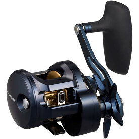 【DAIWA/ダイワ】25ソルティガ 300L (352867) ベイトリール