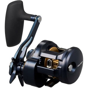 yDAIWA/_Cz25\eBK 300H (352874) xCg[