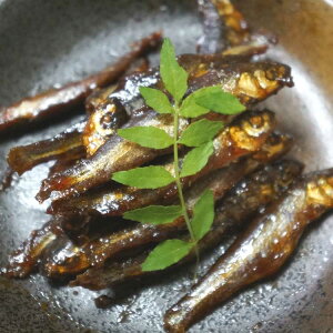 yYnz낱ώ (70g) ꌧ iΎY ^pbN  p R̊ØI 