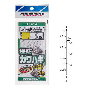 yPROMARINE/v}zASA067 hJnMd| 3Zbg ͂d|