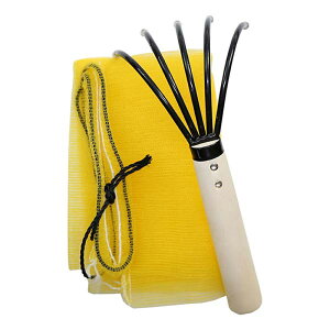 yTAKA/^JYƁzS-81 Zbg (091641) 5{ FƊL  L