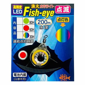 �yING�z���� Fisheye ���C���{�[�_�� (077173) �������C�g �W�����C�g