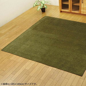 ラグ カーペット おしゃれ ラグマット 絨毯 北欧 撥水マット マット 厚手 夏 オールシーズン 安い 床暖房 滑り止め 洗える 130×185 2畳 グリーン
