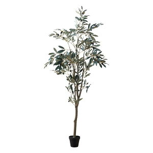 ϗtA  CeA tFCNO[  lH v[g j Mtg fBXvC A  _ Vzj A  AeB[N k 傫 ^   I[