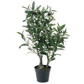楽天市場 枝物 インテリア 種類 植物 オリーブ の通販