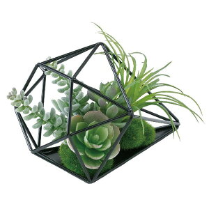 観葉植物 ギフト 卓上の人気商品 通販 価格比較 価格 Com