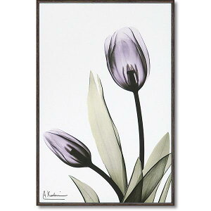 CeA Ǌ| ǊG A[gpl A[g{[h G A[g G EH[fR[V Ǐ fBXvC A[g|X^[