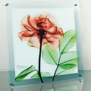 A[g |X^[ CeA Ǌ| ǊG A[gpl A[g{[h G A[g G EH[fR[V Ǐ fBXvC A[g|X^[