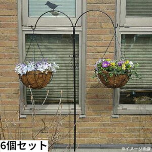 壁掛け 鉢の人気商品 通販 価格比較 価格 Com