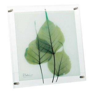 CeA Ǌ| ǊG A[gpl A[g{[h G A[g G EH[fR[V Ǐ fBXvC A[g|X^[