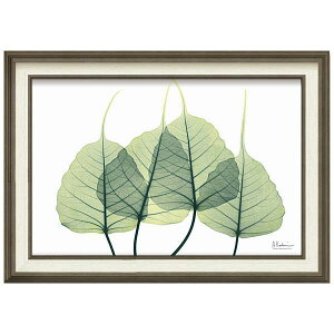 CeA Ǌ| ǊG A[gpl A[g{[h G A[g G EH[fR[V Ǐ fBXvC A[g|X^[