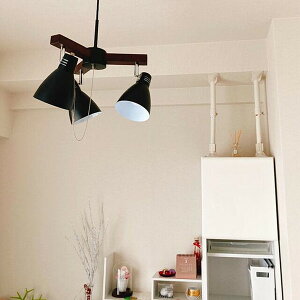 �y���_���g���C�g �Ɩ� ���C�g �V��Ɩ� �Ɩ���� �C���e���A�Ɩ� �Ǌ|���Ɩ� �ԐڏƖ� �C���e���A���C�g �d�C ���r���O �_�C�j���O �L�b�`�� �H�� ���� �L��