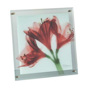 CeA Ǌ| ǊG A[gpl A[g{[h G A[g G EH[fR[V Ǐ fBXvC A[g|X^[