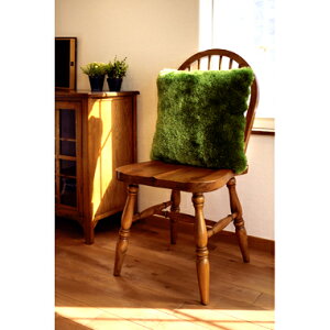 _CjO`FA ֎q  k g y  _ JtF PC e[N ݑ AeB[N wK `FA   45 s54 96 ʍ44