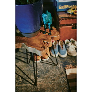 TChe[u  \t@[ iCge[u xbh  rO k ؐ AeB[N _  e[N ݑ Ƒ ~j RpNg xbhTChe[u R[q[  