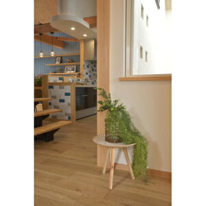 TChe[u  \t@[ iCge[u xbh  rO k ؐ AeB[N _  e[N ݑ Ƒ ~j RpNg xbhTChe[u R[q[  