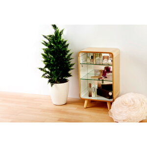 RNVP[X Lrlbg KX V[P[X AeB[N ^ tBMA fBXvC I fBXvCP[X RNVbN k g _ 킢 Pn i`