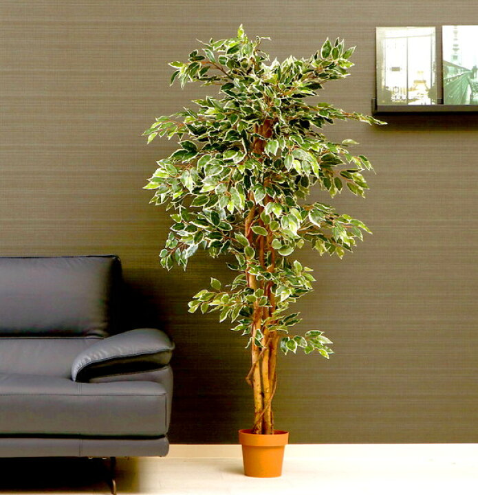 楽天市場 観葉植物 フェイクグリーン 造花 大型 人工 植物 アートフラワー インテリア インテリアグリーン フェイク おしゃれ 室内 鉢 植木鉢 木 お祝い 家具 インテリア通販 アットカグ
