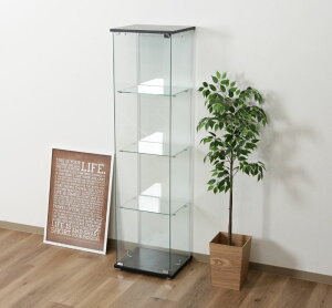 RNVP[X Lrlbg KX V[P[X AeB[N ^ tBMA fBXvC I fBXvCP[X RNVbN ubN 43 s37 162