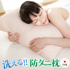 枕 防ダニ まくら 43×63cm 日本製 快眠