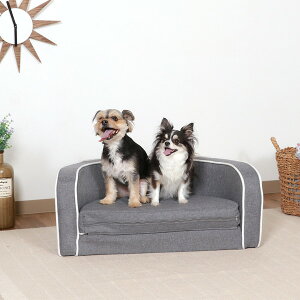 �y�b�g �x�b�h �~�p �~ �� ���^�� �L �g���� �������� ������ ������ ������ �P �����^�� ��� ��v �� �h�� ���� �ʔN