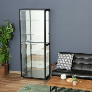 RNVP[X Lrlbg KX V[P[X AeB[N ^ tBMA fBXvC I fBXvCP[X RNVbN k g _ 킢 Pn