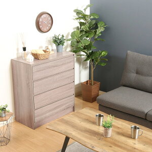 `FXg k ^X ؐ m_X  ߗ [ m q o bN  Q ʏ E  h[ Lb` Tj^[ xbhTCh xbh l炵 4i li 80