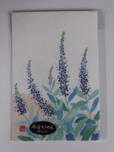真知子友禅 ちりめん絵葉書 着物 絵はがき 四季の花 トウテイラン 【smtb-k】【ky】