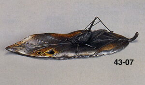 @RIM@X lu@aG݁@@[@Xe[Vi[@