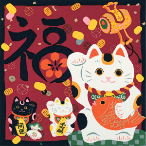 @C~@J^ӂ낵@50cm@L@@ɐE^㏸@ӂ낵