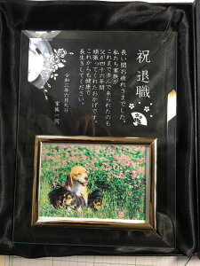 KXtHgt[tbg@jސEjcLOi搶ւ̋LOiƋLOioYj