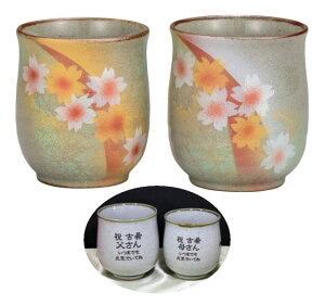 ꓒۂ J bZ[W蓒 zԕyAZb g@eւ̃v[g hV̓ ސEj ̂j ސEj Êj j