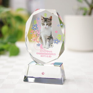 ybgApI[otJ[KP-2U@ybgʔvNX^ʔvybĝKẌʔvybgLOi