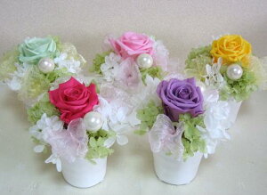 vU[uht[  ~j   ybg v`vU a v`Mtg ybĝ   ͂߂ẴvU  v[g av[g j  V