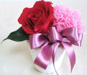 oƃJ[lV vU[uht[ Ԃt[Mtg a vU[uh  ސEj av[g j LO LO ԃo җj  t[ v|[Y 