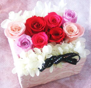 v[g  vU[uht[ a Mtg  ސEj  j v[g a  LO LO ԃo uU[uh vU t[Mtg y P[Xt