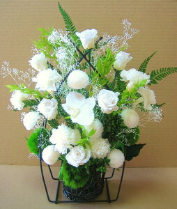    vU[uht[  ݉  1 Ή  䕧O  l\  V  uU[uh AWg 䋟   Ӓ 