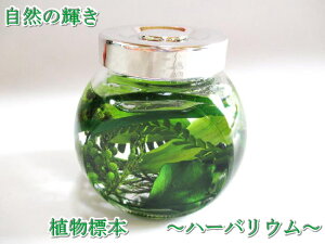 ϗtA n[oE O[ ̓ vU[uht[ Mtg un[oEvO[  v[g ސEj a j uU[ht[ җj  ސEj 