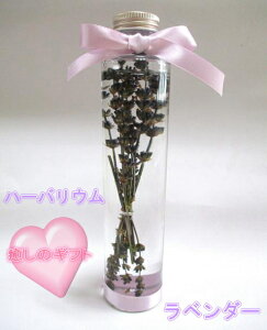 ラベンダー プリザーブドフラワー プレゼント ギフト 女性 ハーバリウム 結婚式 プレゼント 退職祝い 誕生日 結婚祝い ブリザードフラワー 還暦祝 送別 退職祝い お見舞い 新築祝い 内祝 開