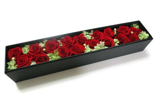 vU[uht[ {bNX Mtg t[{bNX j v|[Y  j җj  v[g   LO LOi a v[g zCgf[ zCgf[