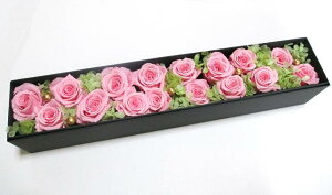 t[{bNX j vU[uht[ {bNX Mtg җj v|[Y o j LO Vzj a   ސEj v[g LO  Ď JXj o