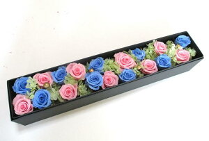 LO j  a vU[uht[ {bNX j Mtg TVOu[ v[g Џj t[{bNX v[g t[Mtg  ސEj  