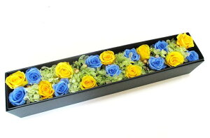 vU[uht[ {bNX Mtg o LOi iւ̃v[g ij h]j   j ސEj o^C t[{bNX j t[Mtg o KN a