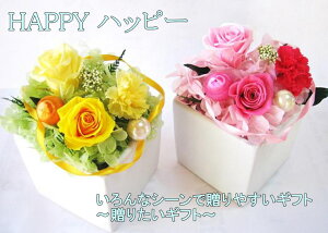 J[l[V vU[uht[ J[l[VAW vU[uh J[l[VvU[uht[ ̓Mtg  a  v[g LOi j LO