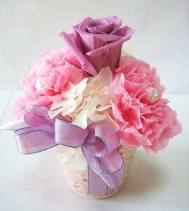  oƃJ[l[V J[l[V vU[uht[ j LO v[g a a   LO o  o[Xf[t[  ސEj  yy