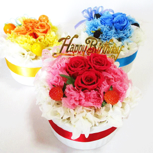 v[g a  t[P[L o[Xf[ v[g o LO j t[Mtg vU[uht[  t[P[L vU[uht[ a 