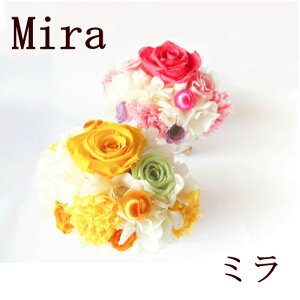 v[g MtgyyV1ʁzj  t[Mtg t[AW vU[uht[ d v[g Mtg 蕨 Ê  P Ď     킢y