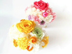 yyV1ʁzj  t[Mtg t[AW vU[uht[ d v[g Mtg 蕨 Ê  P Ď     킢yyΉz