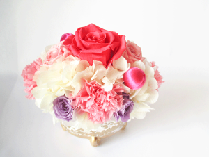 vU[uht[ NX}X Mtg \ Cxg j LO Џj  j uC_ j \ a v[g o[Xe[ t[Mtg v