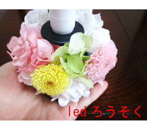 犬 お悔やみ 花の人気商品 通販 価格比較 価格 Com 犬 お悔やみ 花の人気商品 通販 価格比較 価格 Com